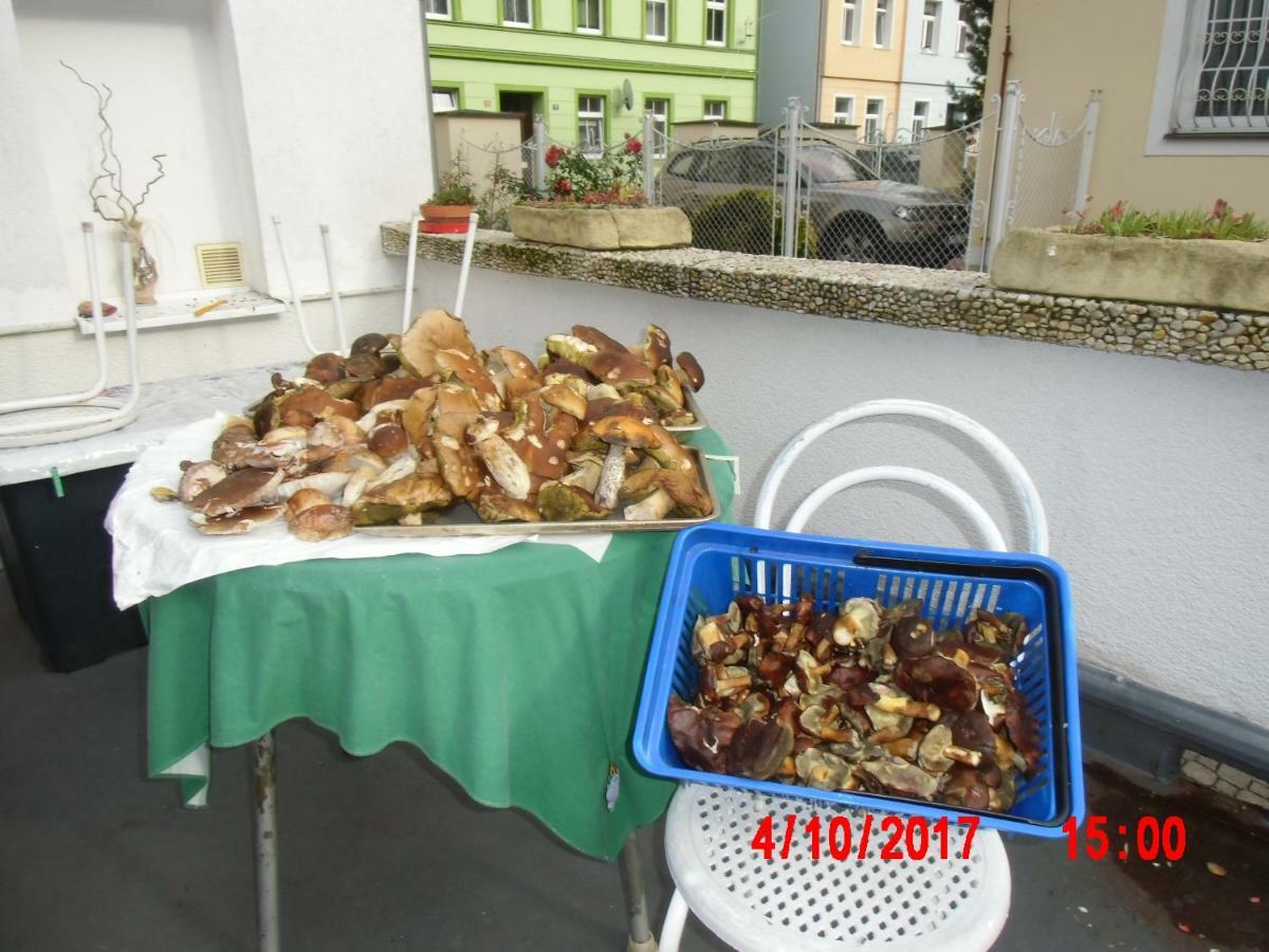 Pension U Kaktusu KLV Exterior foto